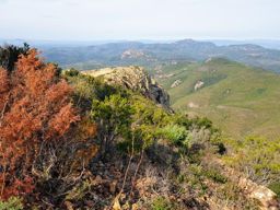 Balade dans l’Esterel