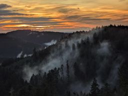 Marche dans l’après-midi