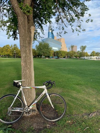 Another damn picture of my bike leaning on a 🌲 😜