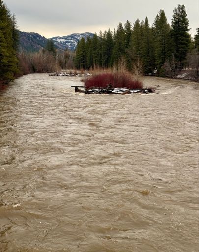 River flowing high and muddy.