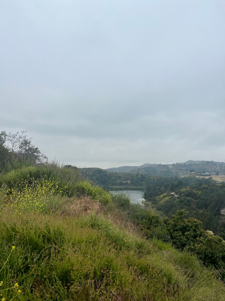 NBB run - Lake Hollywood photo 133