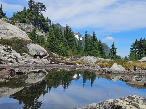 I did filter and drink from this tarn