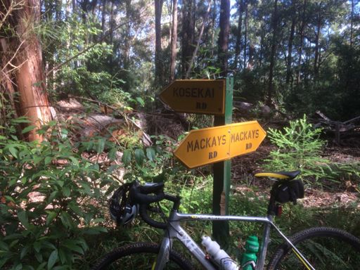 A very welcome sign! McKays/Kosekai Rd intersection.