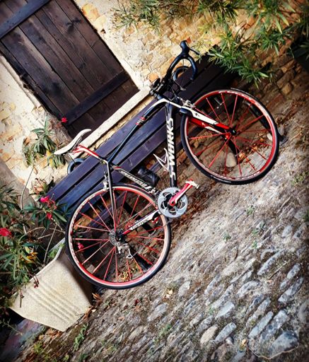 Bici di oggi in una foto a Calosso pochi giorni fa.