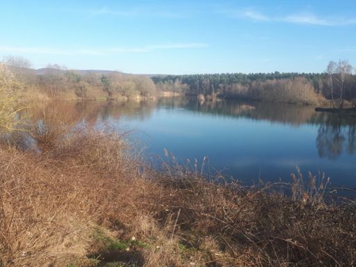 Der Lenz ist da!👍😎