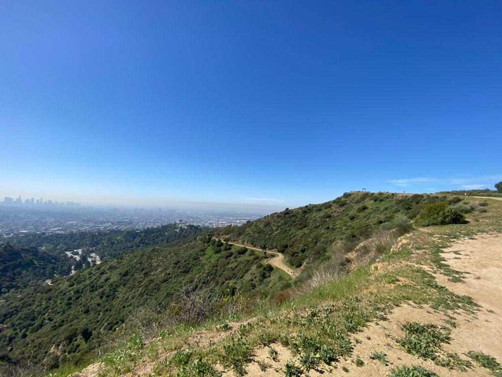 NBB run - Lake Hollywood: фото 104