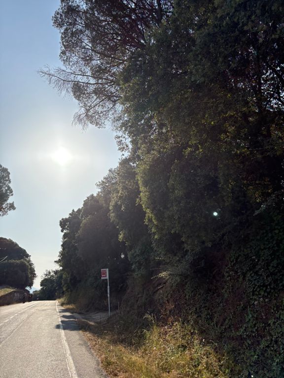 route-highlight