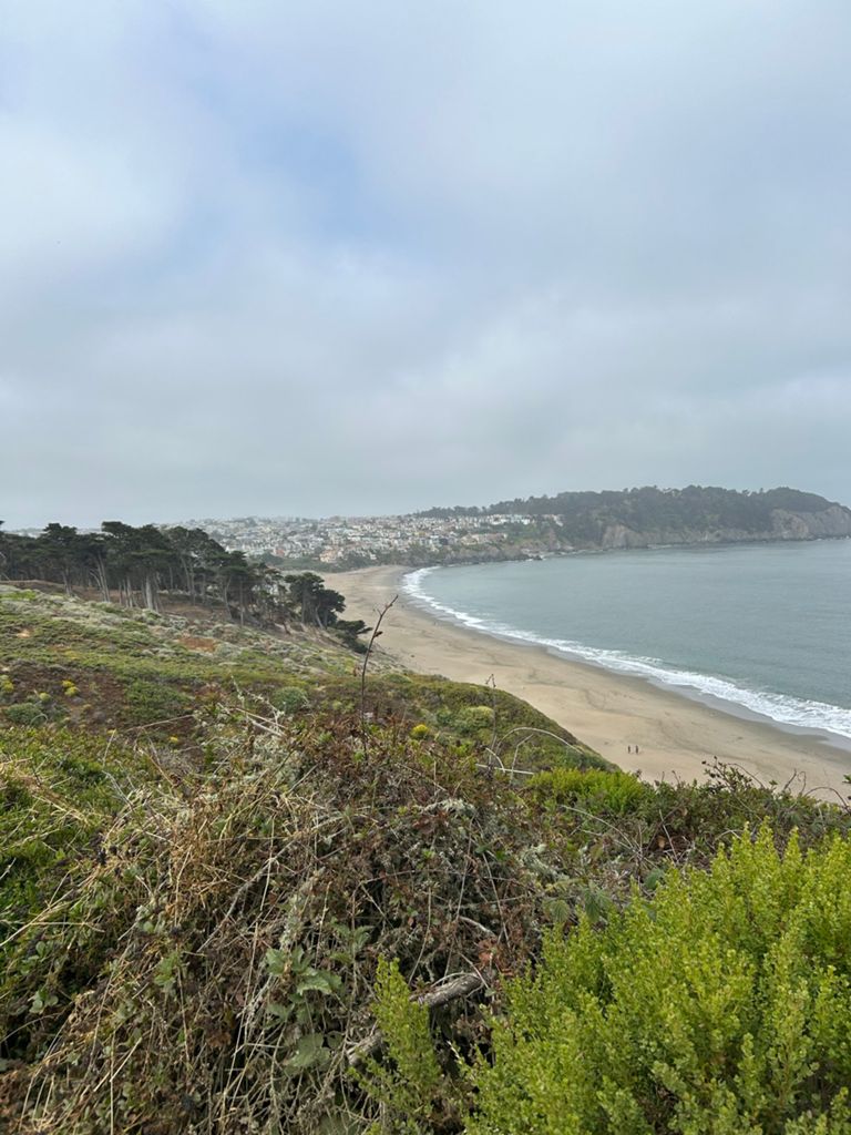 Butterlap (Presidio & Golden Gate Park) photo 183