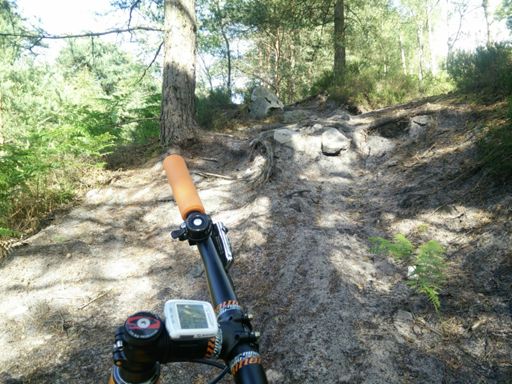 Ça a pas mal raviné par ici, ça passe plus en montée