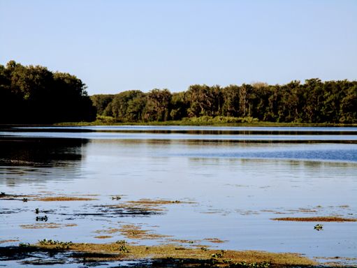 The Withlacoochee River at Carlson's Landing just off CR470. The river flows north and enters the Gulf of Mexico near Yankeetown.