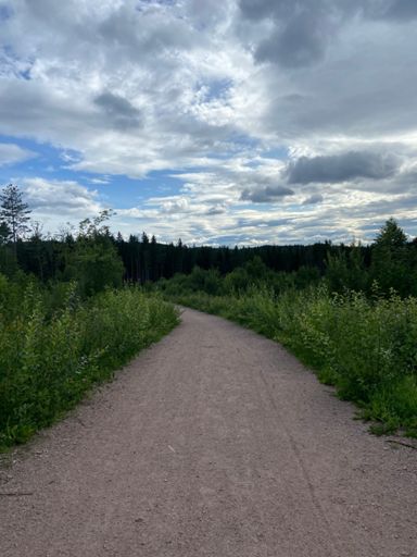 Dette er retning Spikkestad. Cirka 70 meter fra Liertoppen