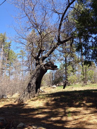 There's a hole in there somewhere?