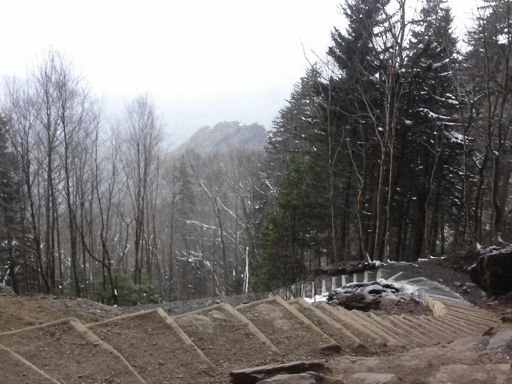 Toward bottom of Alum Cave trail with no snow yet.