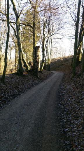 Radweg kurz vor Leinefelde
