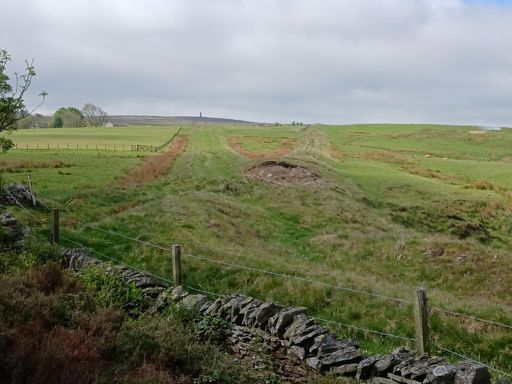 Fume extractors from 1808 heading to the chimneys on Allendale Moors. Gotta love North East English industrial heritage.
