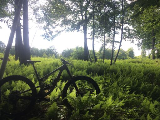 34.5 pounds of plastic in its natural habitat.