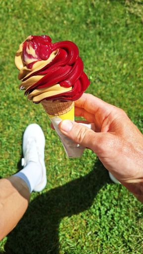 Vlašský ořech a borůvka.. vražedná kombinace 👌.