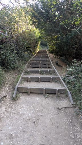 I used to think I was great going up the steps... until today.