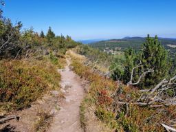 De belles couleurs sur les crêtes