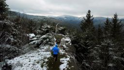 Canceley Rommelstein