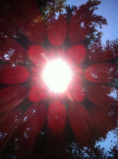 Efeitos do sol (junto às águas do Marão)