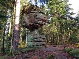 Canceley Rommelstein