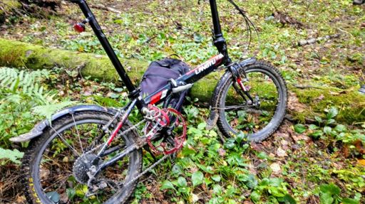 Велопарад! :-)  Были замечены несколько складников с разными колесами 16, 20...  пара фэтов, несколько 29+ несколько эндуриков, один гравел, один где в положении лёжа крутишь (забыл как называется) и т.д. Баха с мячиком на привале :-)