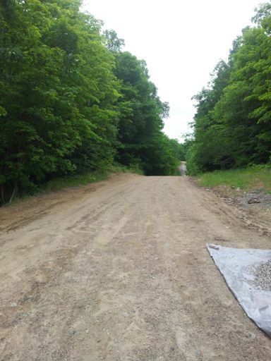 A lonely segment at the end of the line. Vitamin G!!