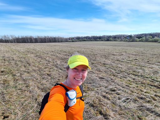 Поле перед Мещерским.