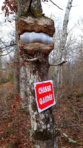 La Nature est plus FORTE...!