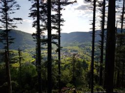 Trotte entre Vexaincourt et les Hautes Loges