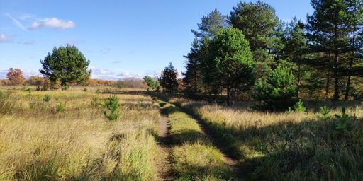 Фотографировал все сходу. Вел группу, таращился в навик и иногда  фоткал