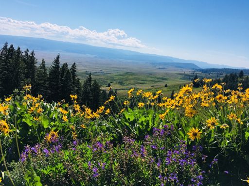 If you have to stop on the climb you might as well enjoy the view