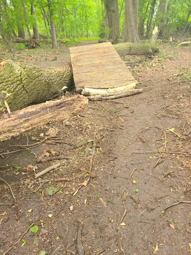 Find this is Bellevue State park woods and send it!