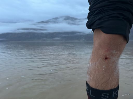 shiver me salty timbers