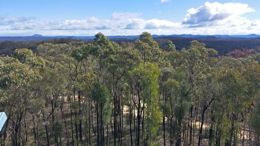 Finchleys trig lookout