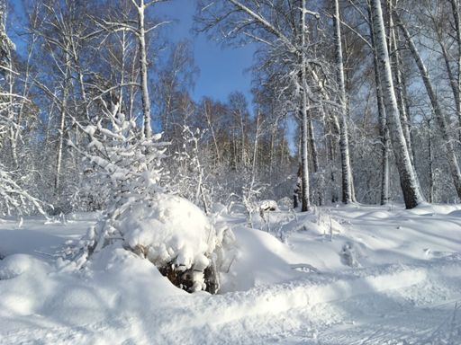 на солнце красиво