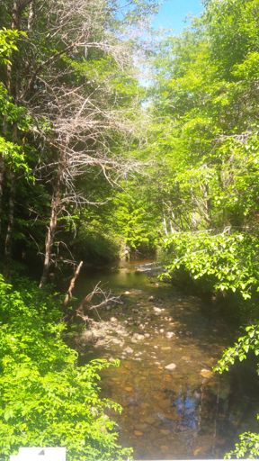 One of many bridges with nice river scenery