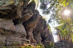 Tête de la gorge aux sangliers et Canceley