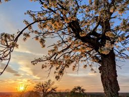 Footing au lac + sunset sur le retour