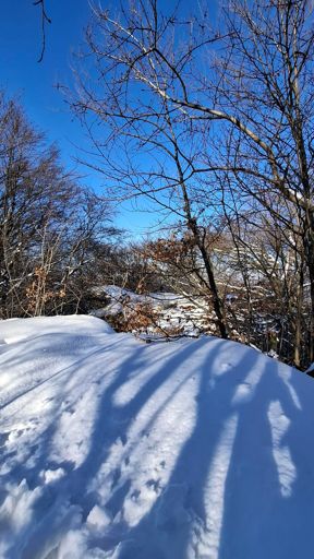 Чортова скеля 