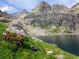 Vallée des Merveilles