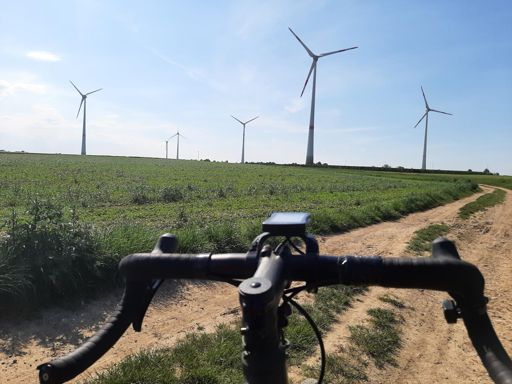 Windmolens Halen/Bekkevoort