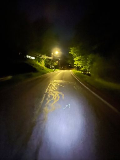 Raccoon snaking my line!