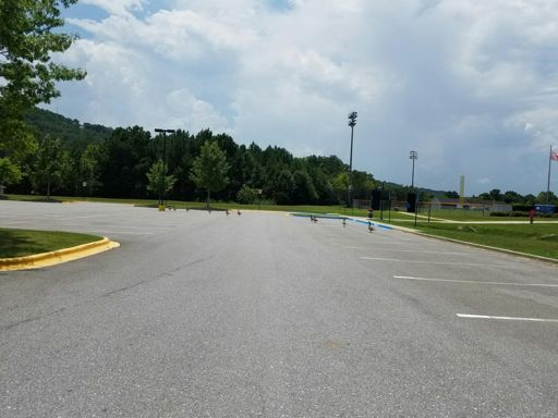 Geese crossing the parking lot.