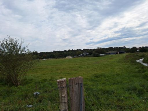 Zweefvliegtuig-veld.