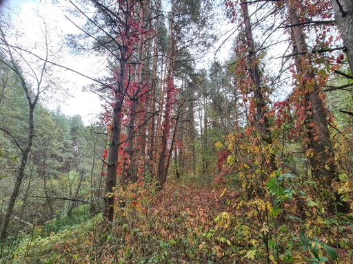 Река Орша в Лукино.