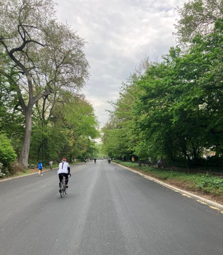 Took me a whole lap of Central Park to figure out the gearing on my rental bike