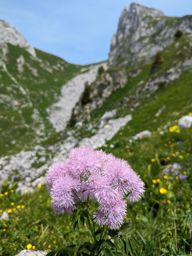 Dent et Roc d’Oche