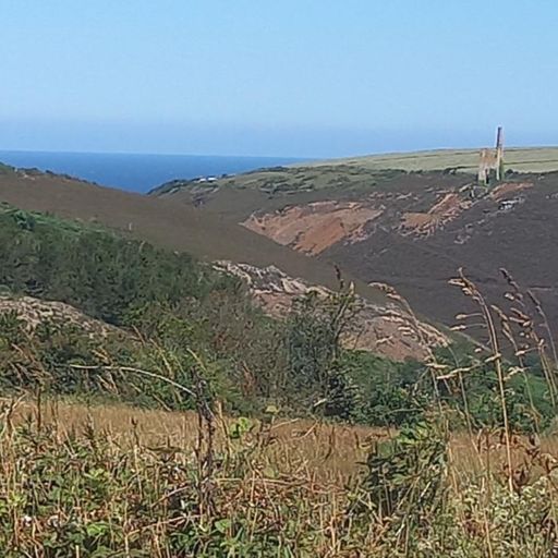 Mining land valley near porthtowan